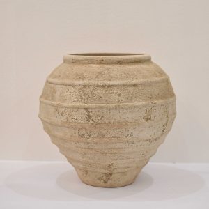 Chum Kẻ Bo Miệng - Hình ảnh 1